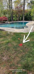 pool pipe leak diagnostic