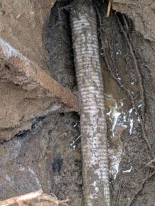damaged pool pipe